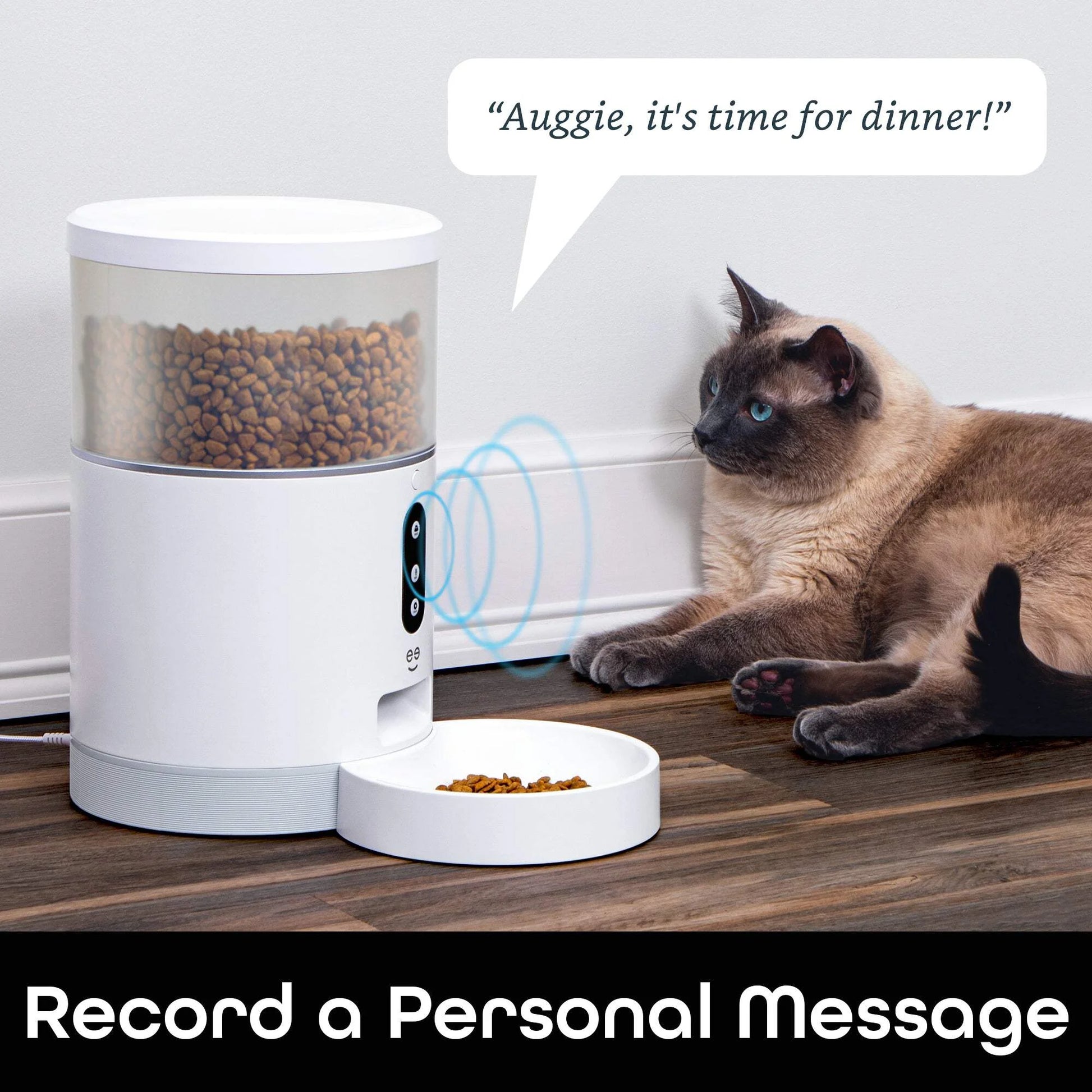 Petconnect Automatic Dog or Cat Pet Feeder, 4L