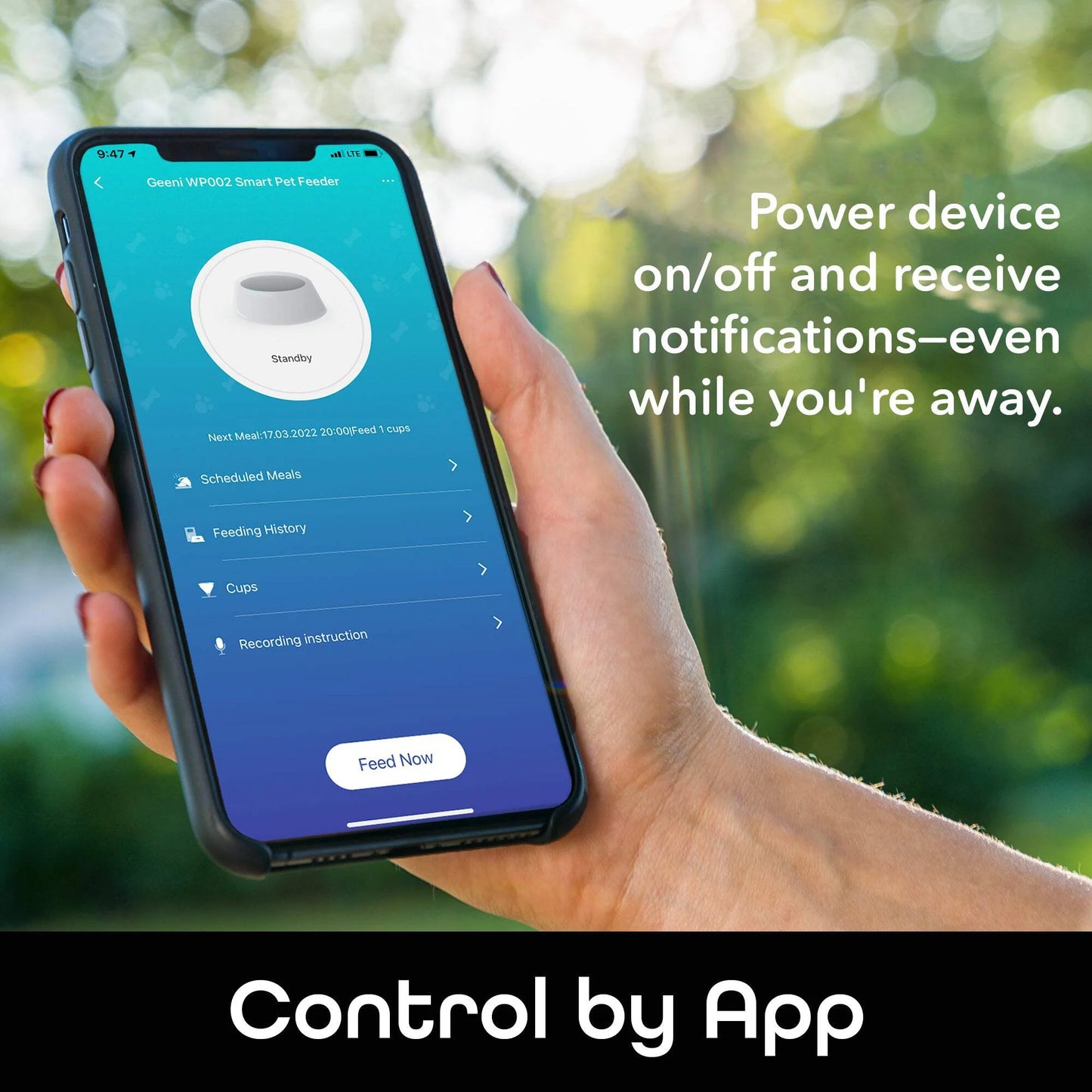 Petconnect Automatic Dog or Cat Pet Feeder, 4L